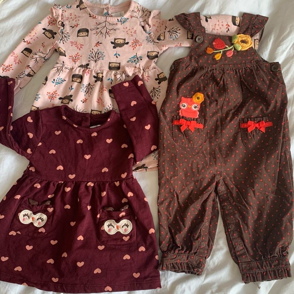 BabyDoll Dresses Owl Corduroy Overalls 18 Month Owl Bundle Set - Picture 16 of 16